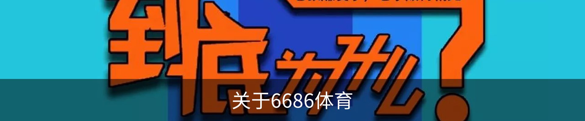 关于6686体育